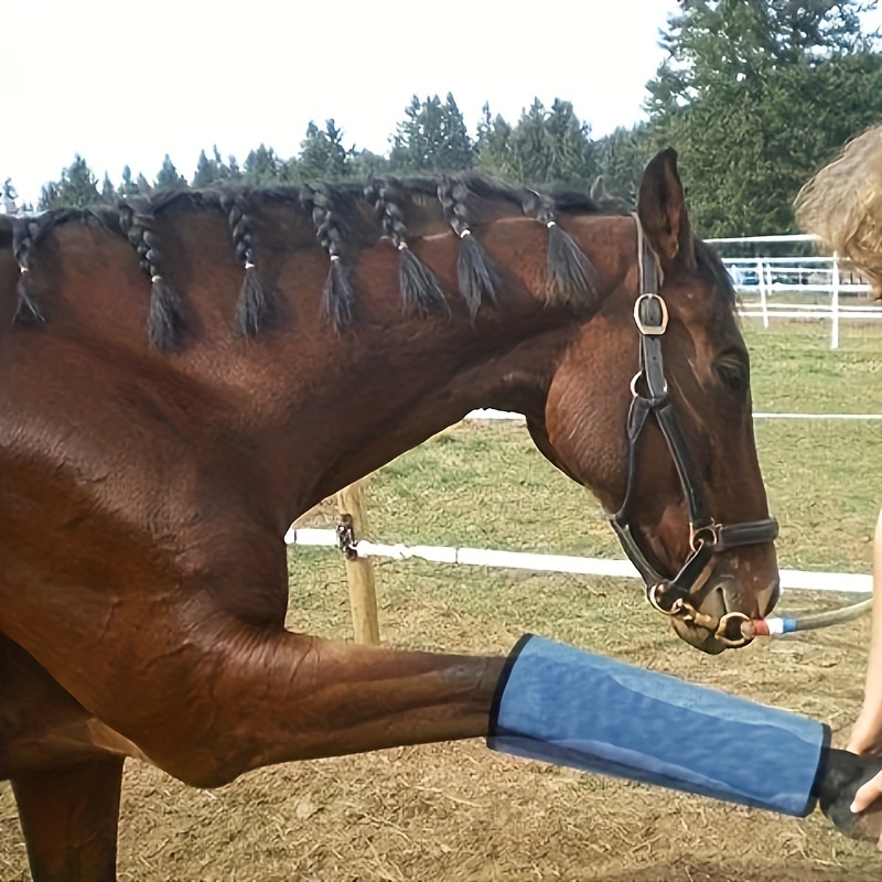 

Professional Mesh Fly Boots For Horses - Protect Your Horse's Legs From Insects And Debris