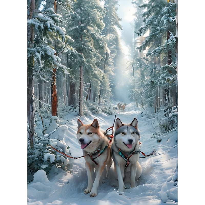 

1pc Diy 5d Diamond Painting Kit - In Snowy Scene, Drill Acrylic Art, 15.8x19.7in, Embroidery Craft For Home Wall Decor