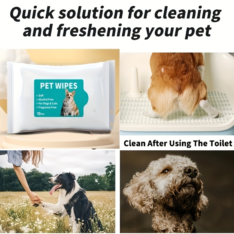 universal pet tear stain cleaning wipes disposable Temu Kuwait - Technical View