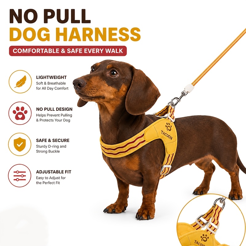 4pcs Anti-Pull Vest-Style Pet Harness Set, Adjustable Comfort Vest, Soft Material, Composite Sponge And Bird's Eye Mesh Fabric, Suitable for Cats And Dogs, with Reflective Strips And Breathable Padding And Escape-Proof Design