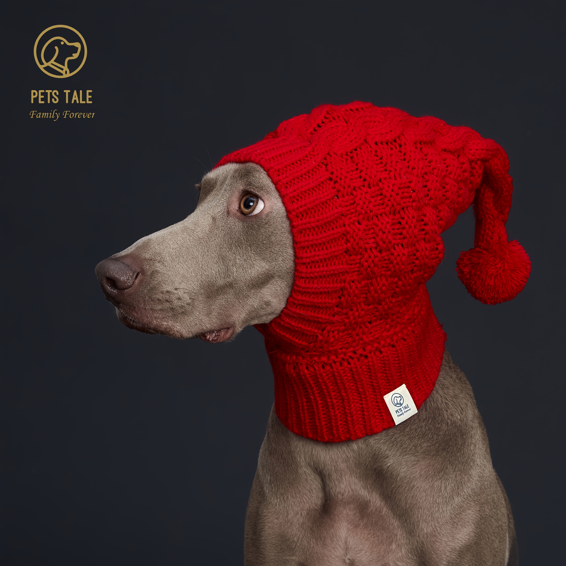 1pc Red Pet Hat, Patterned Knitted Woolen Dog Hat, Cute And Warm  Decoration, Suitable For Small, Medium And Large Pets Dogs