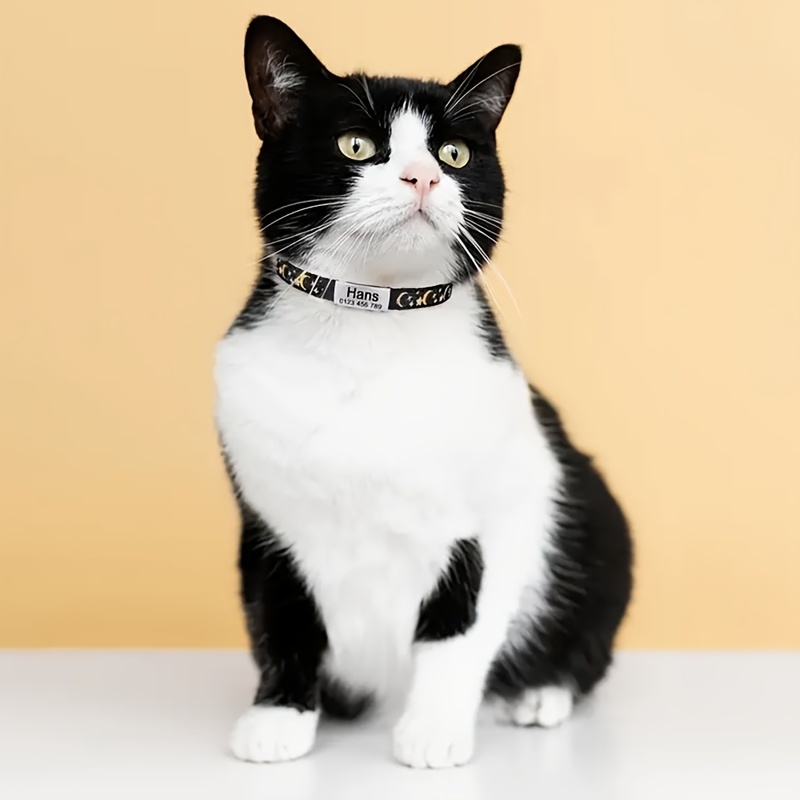 Personalized Cat Collar, Stars and Moon Design with Bell