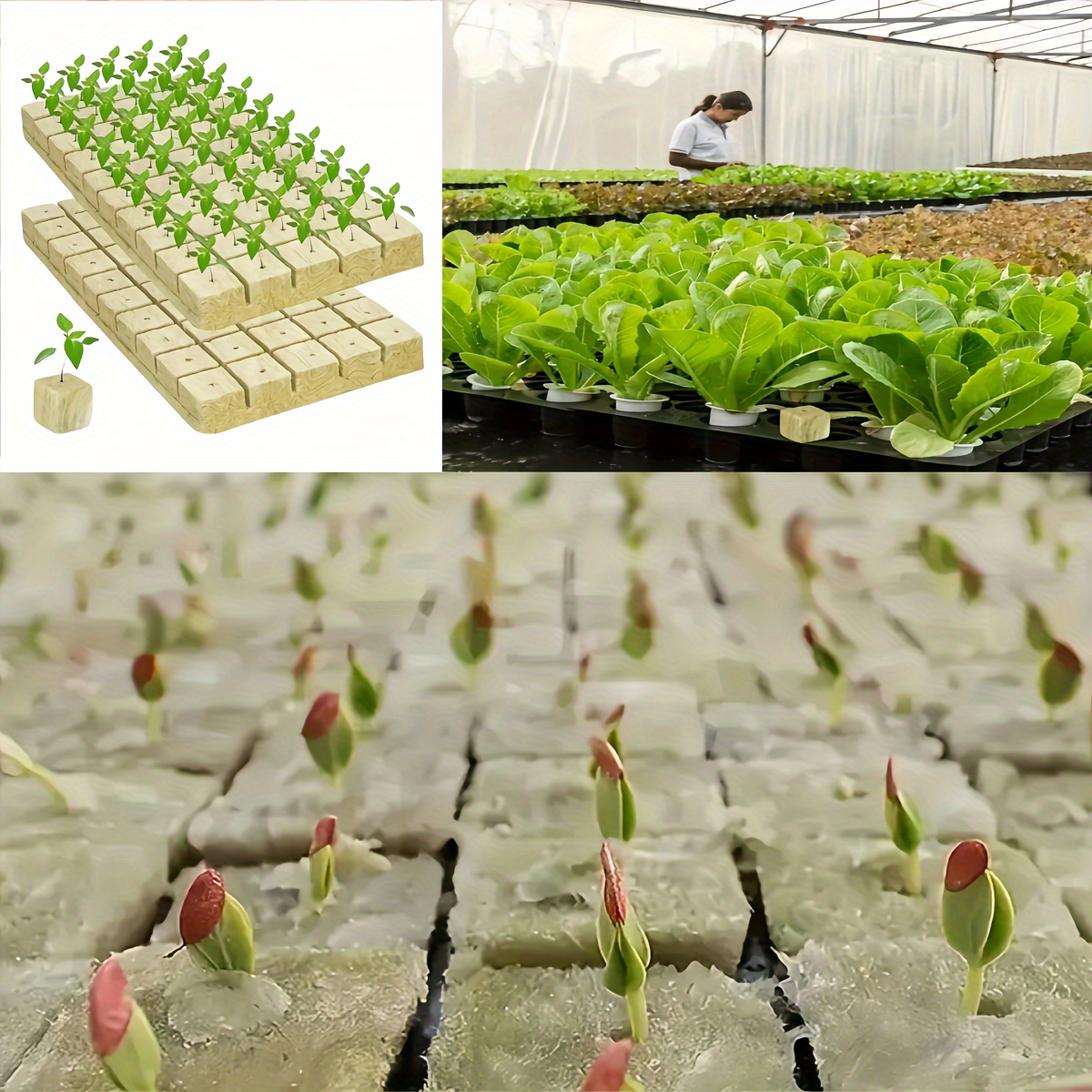 Nizirioo Tappetino riscaldante per piante con termostato per piantine,  impermeabile, resistente, per la regolazione della temperatura (50 x 52 cm)  : : Giardino e giardinaggio