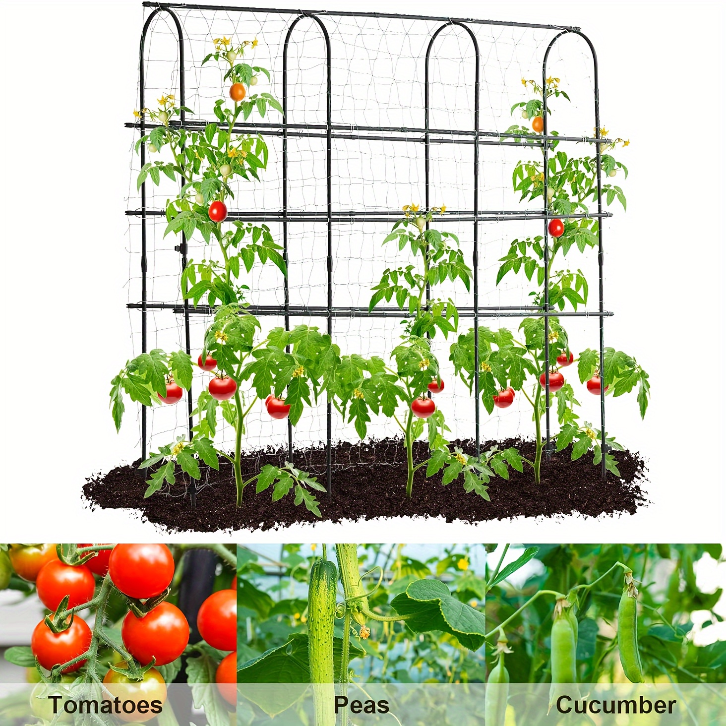 

Garden Trellis For Climbing Plants Outdoor, 6 Ft Tall Arch Tunnel, Metal A-frame Plant Support With Trellis Netting Vegetable Fruit Flower, Cucumber Trellis For Garden Raised