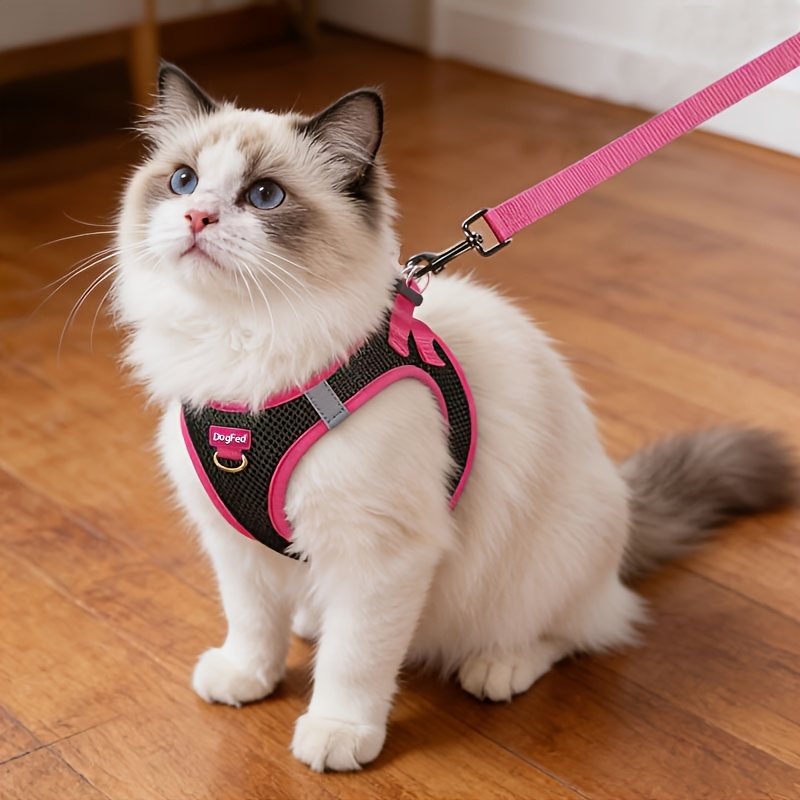 Image of Dog Harness And Leash Set, Soft Breathable Puppy Vest, Reflective Pet Chest Harness For Night Use, Suitable For Small Dogs