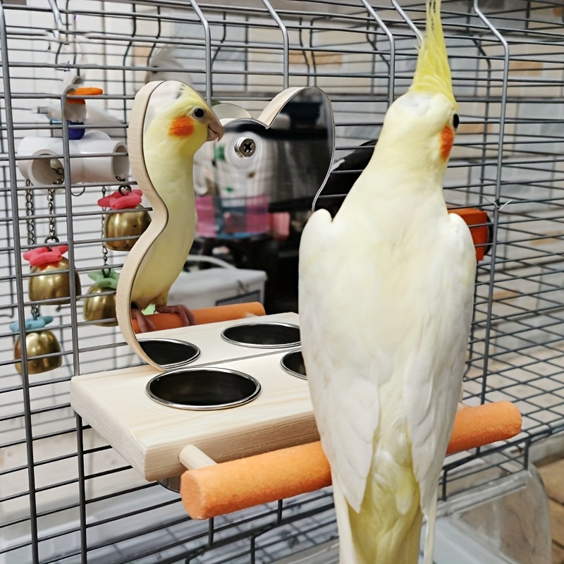 Parrot Food Feeder Box with Frosted Standing Pole