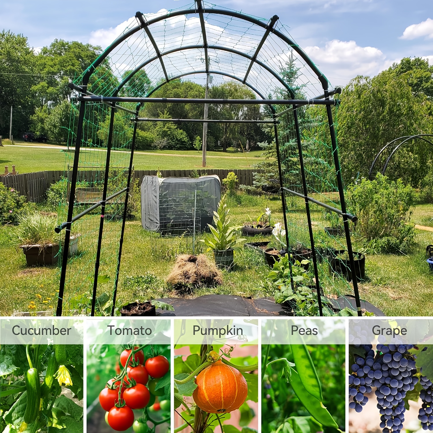 

With Style And Stainless Steel Material Climbing Vine Trellis: