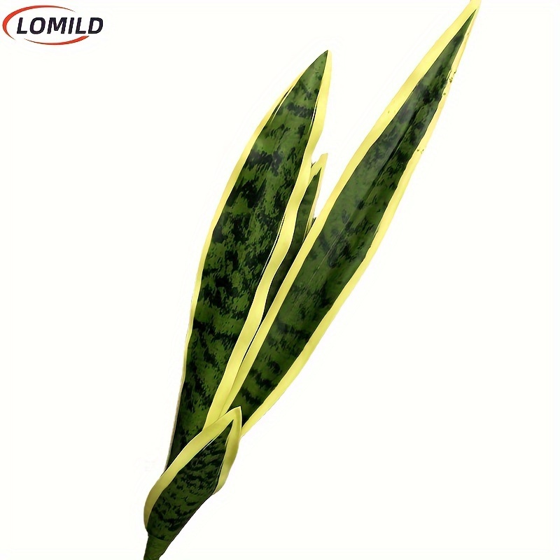gold pothos plant Golden Pothos  Vibrant, Versatile & Easy-Care Plant