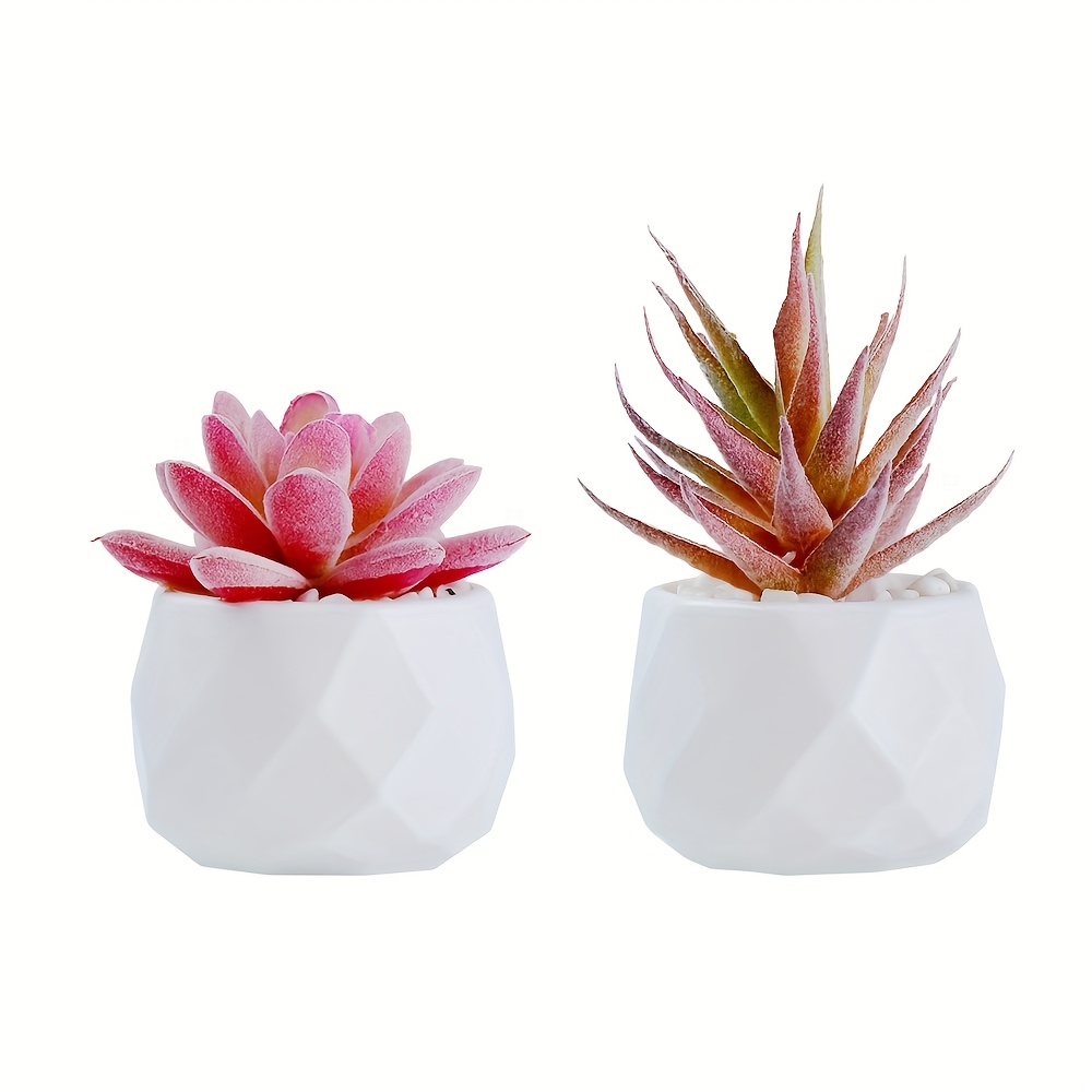 2pcs Ladies' Office Desk Artificial Plant Set, Artificial Succulent Plants - Elegant Red Decorative Items, Suitable For Bedroom, Bathroom, Office Shelf.