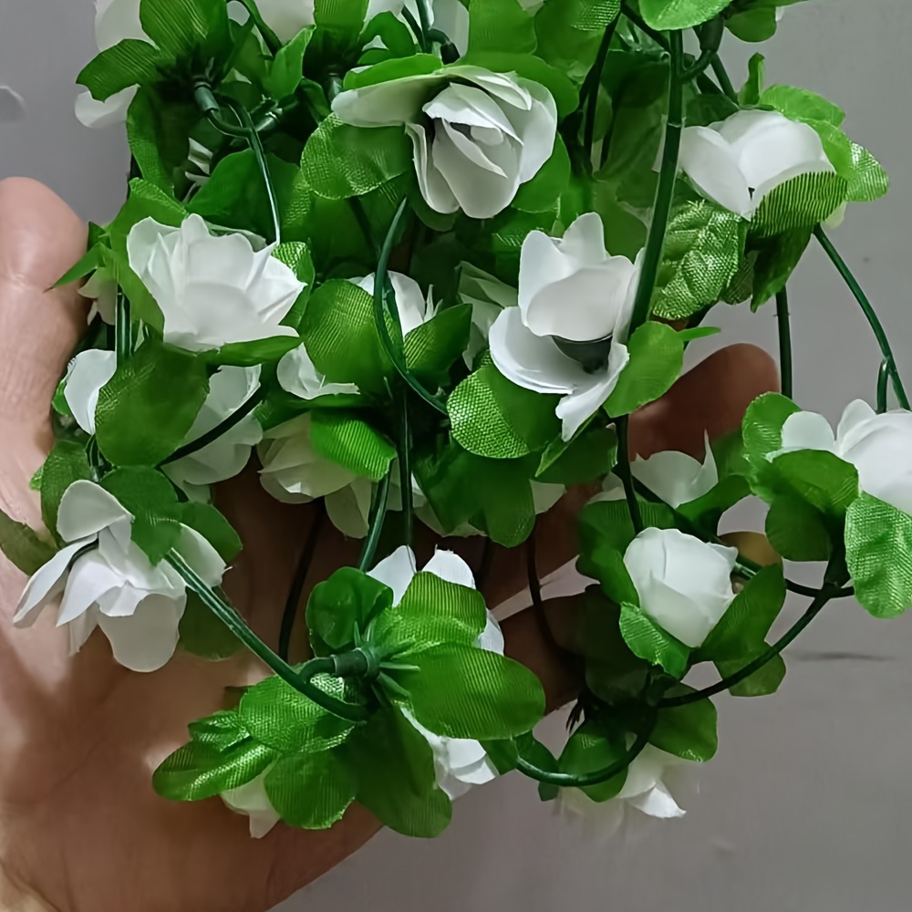 farn asplenium Nestfarn Asplenium Parvati – Zimmerpflanze inkl. Ziertopf Vibes Fold main image 0