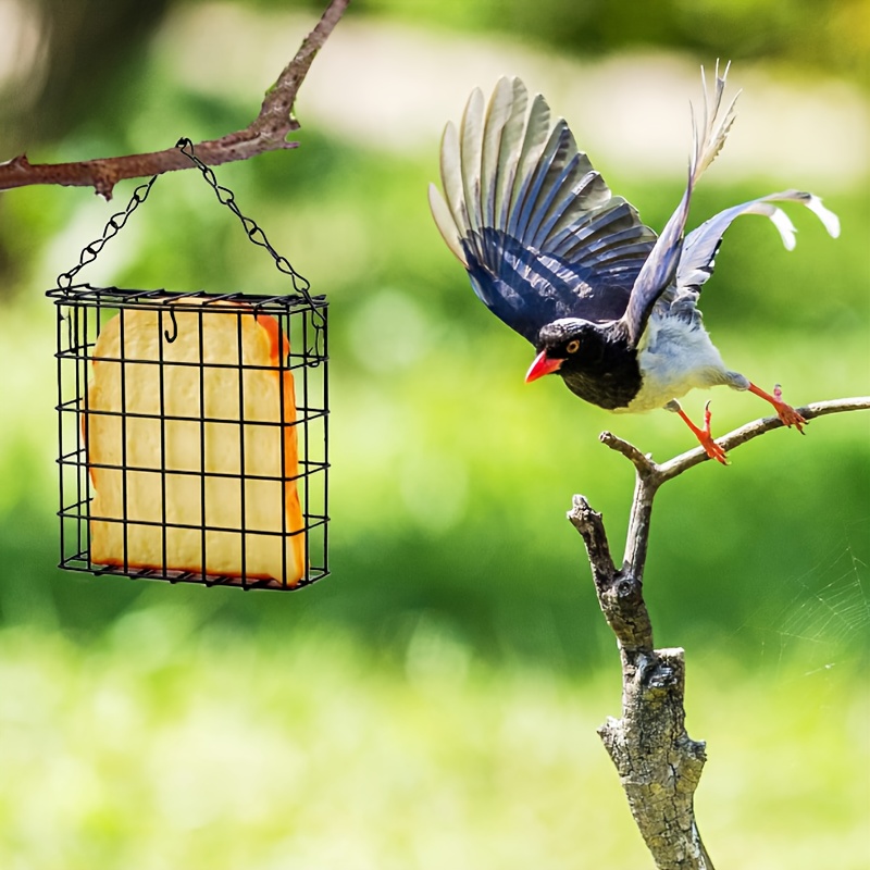 

1pc Metal Suet Feeder, , Hanging Suet Feeder For , No Required, For , Feeding