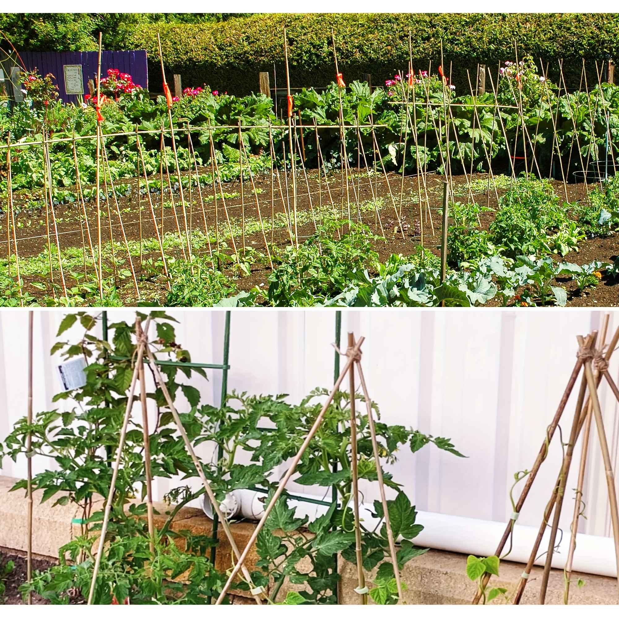 Natural Bamboo Plant Support Stakes