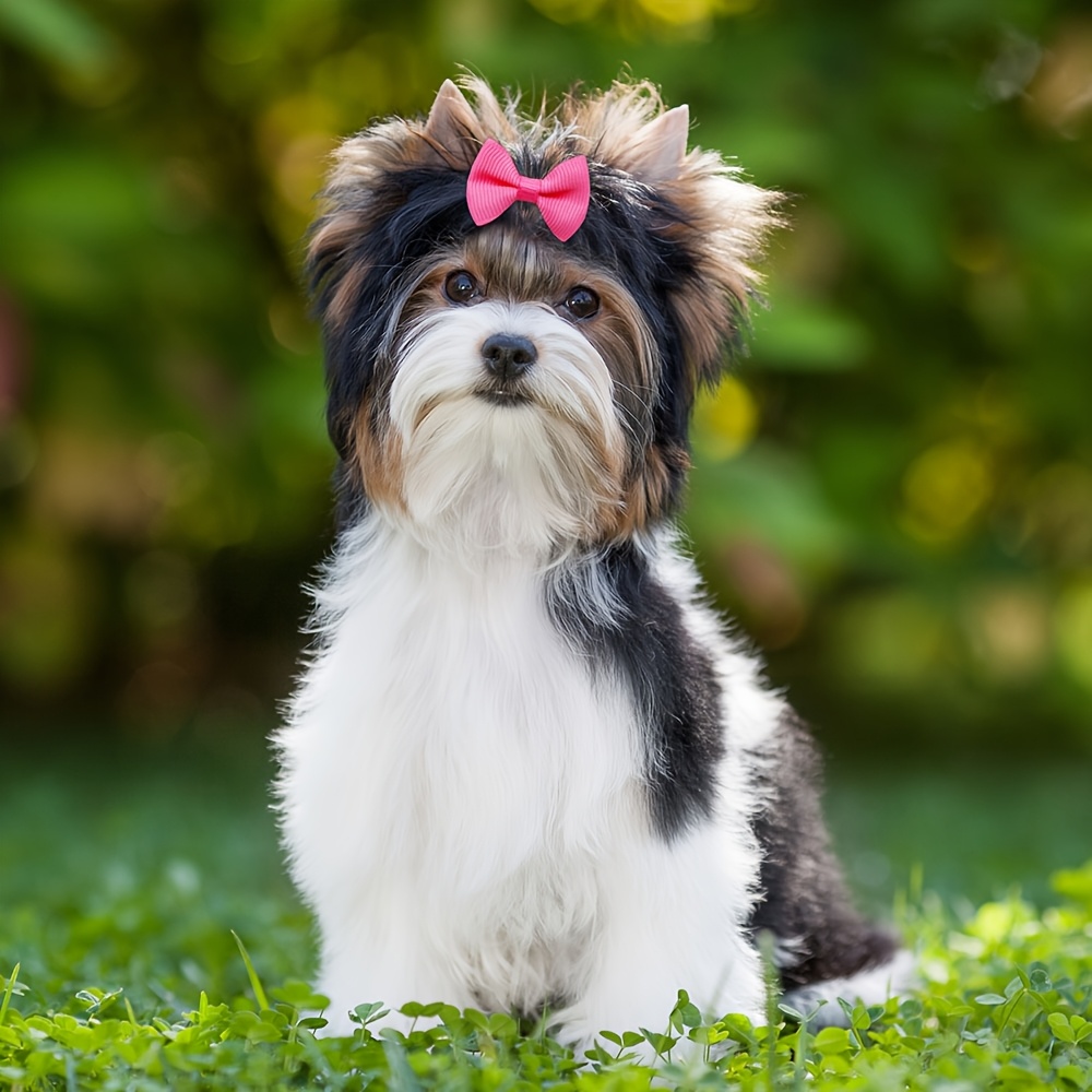 random 20pcs   handmade solid color pet dog bows hair additions for dogs cute cat bowknots pet supplies Product details 1