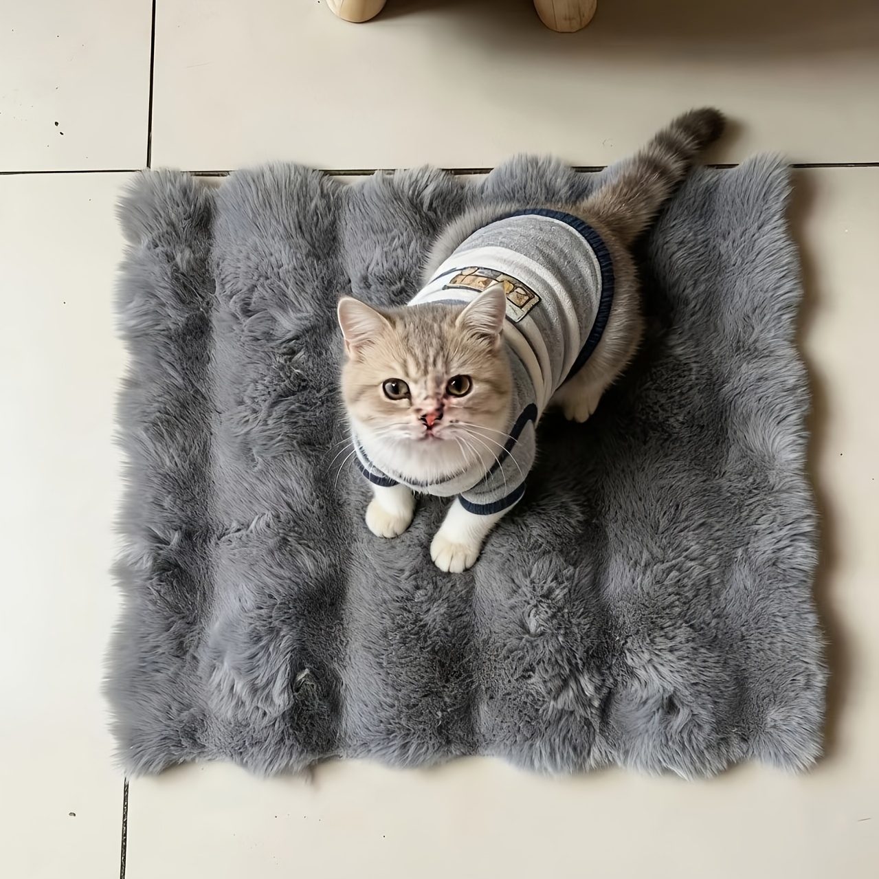 TEMU Pet Mat Cat Cushion Chair Pad Bed Climbing