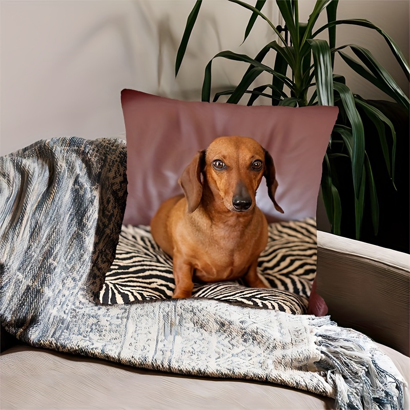 contemporary dachshund portrait design throw pillow 18x18 inches soft polyester machine washable with zipper closure ideal for home office and party decor details 6