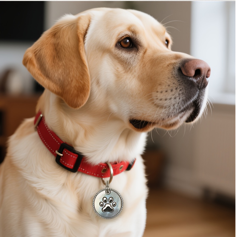 Customized High-End Dog Tags Stainless Steel Hang Tag