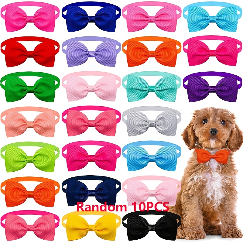 TEMU Fascia per animali domestici in stile , 10 colori casuali, per e cani, accessorio versatile