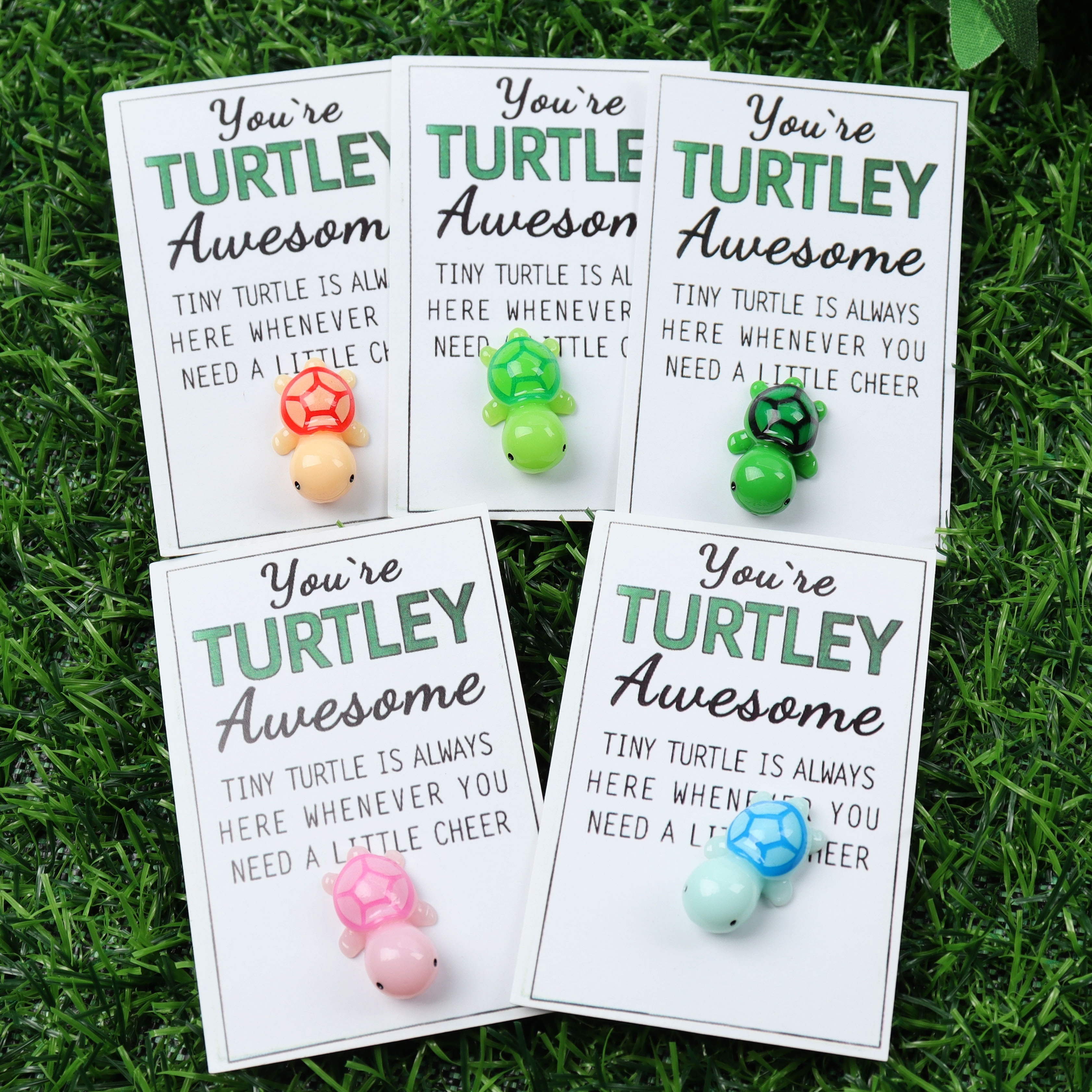 

5-pack Mini Turtle Hug Cards With Inspirational "you're Turtley Awesome" Message - Perfect For Valentine's Day, Graduation, Back-to-school Gifts For Friends & Family