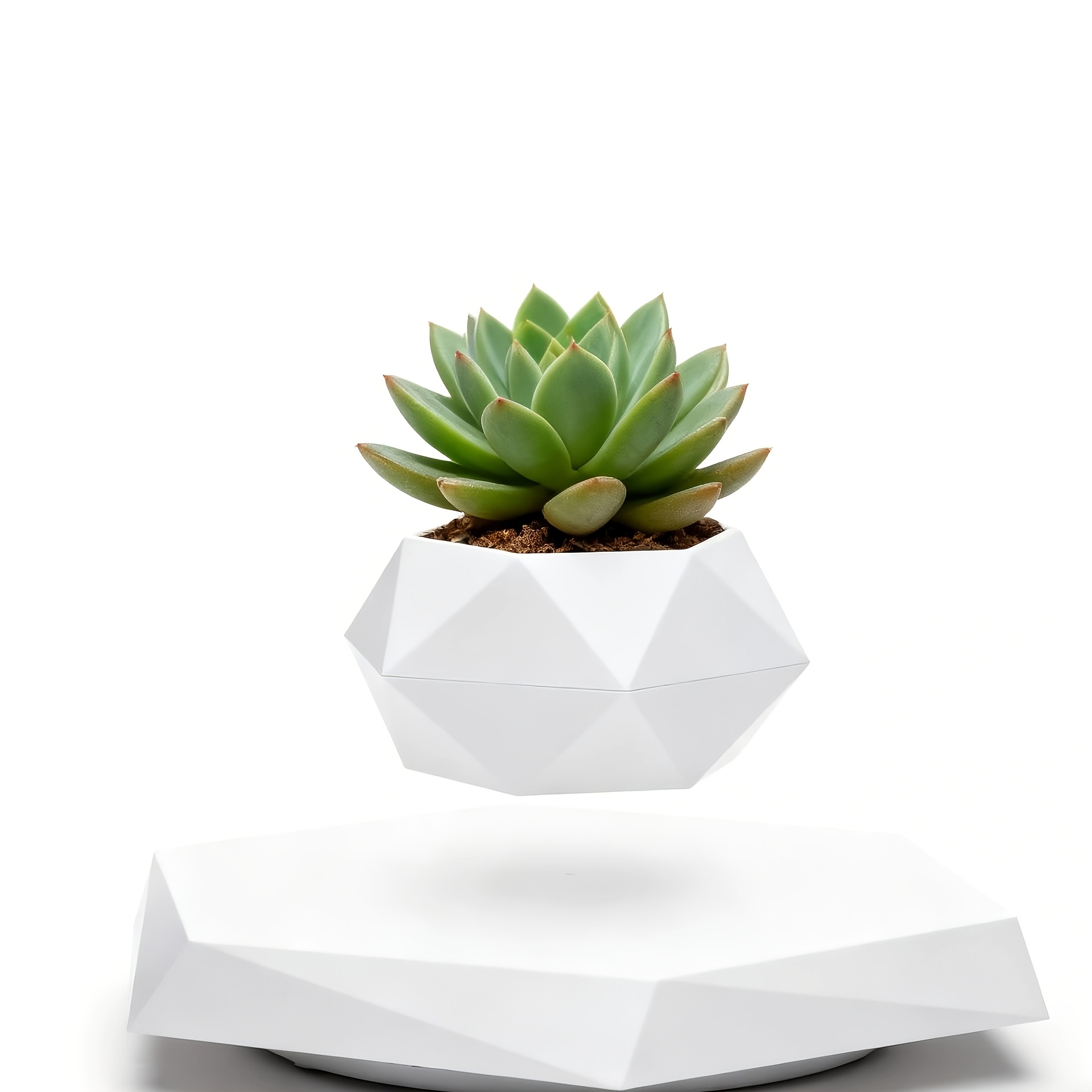 levitating pot plant sold on Temu United States