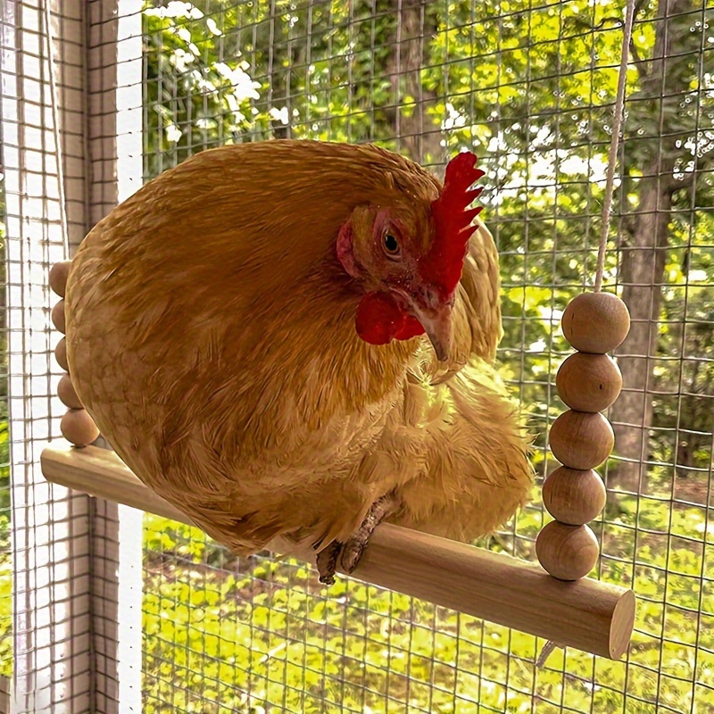 

Chicken Swing Toy - Perch Ladder For Large Birds & Parrots, Ideal For Climbing, Swinging & Training Hens