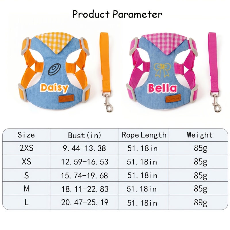 Personalized Custom Pet Harness and Leash Set
