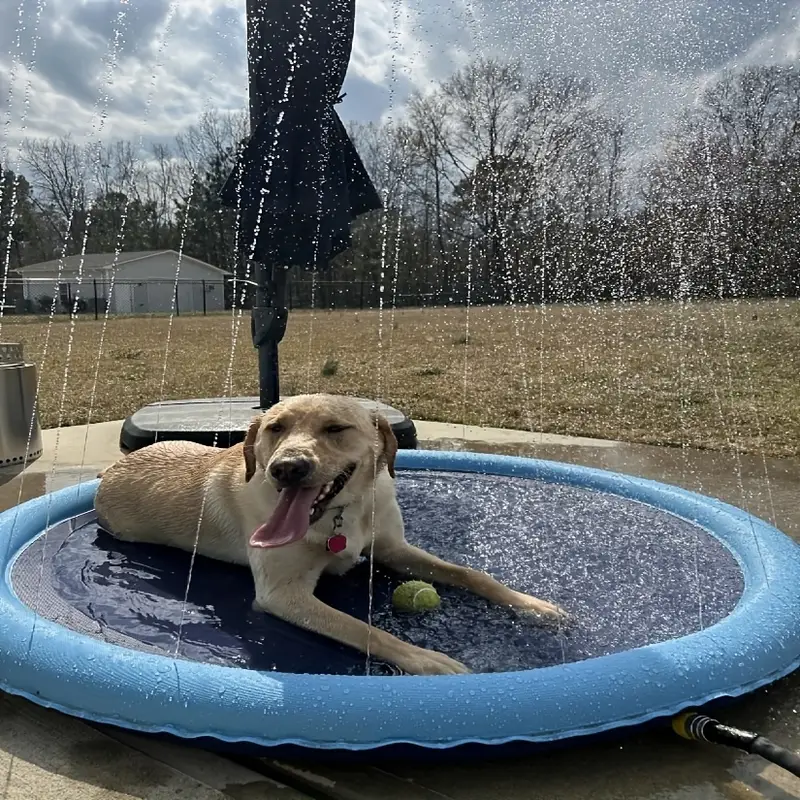 pet pvc pool outdoor water play mat backyard summer sprinkler toy details 2