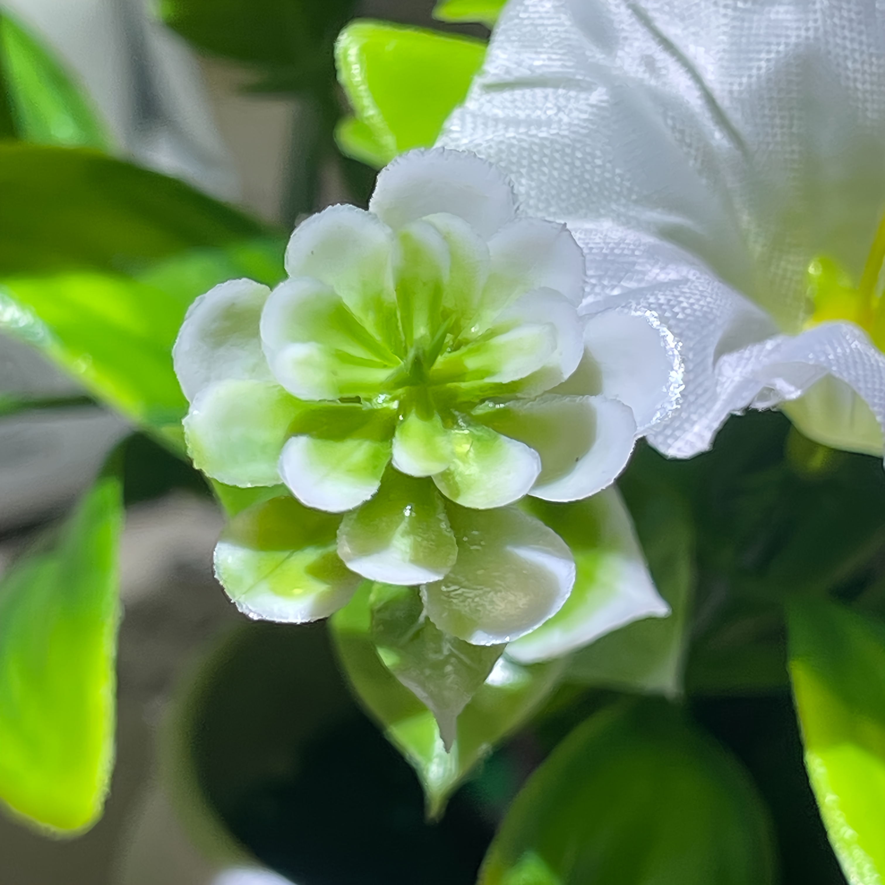 1/6 Set Morning Glory Flower with Pot, Elegant Mini 5 Artificial Flowers Artificial Green Plant Potted Art, Suitable for Home, Hotel And Garden Decoration Tabletop Overall Height 16Cm Small Ornaments (Note: Pictures Appear Large