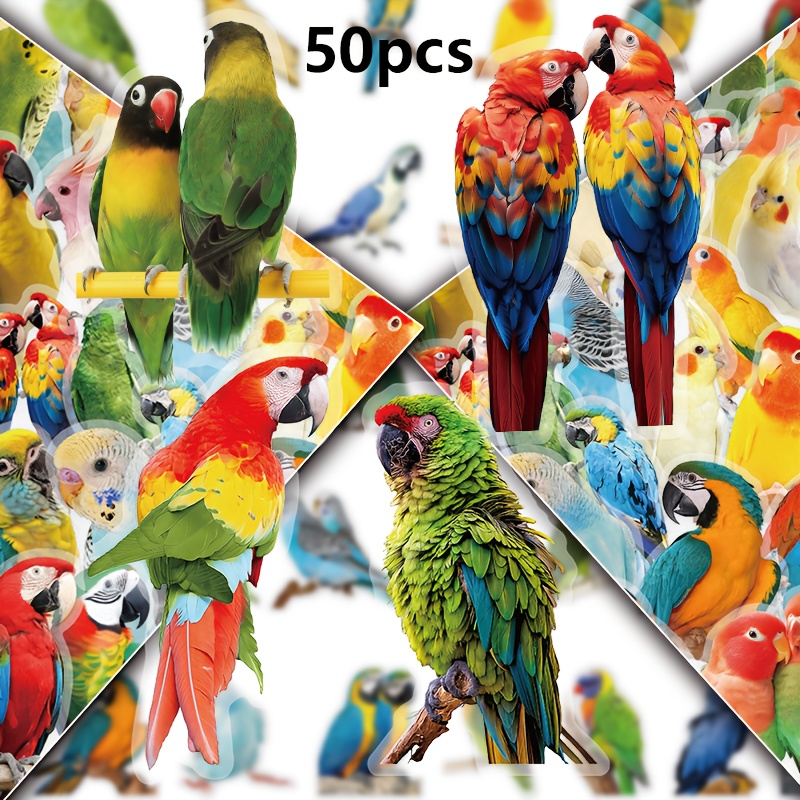 50pcs Colorful Parrot Doodle Stickers, Cute Animal Theme Decals, Suitable For Phones, Computers, Skateboards, Bicycles, Helmets, Decorations, Pet Transparent Stickers