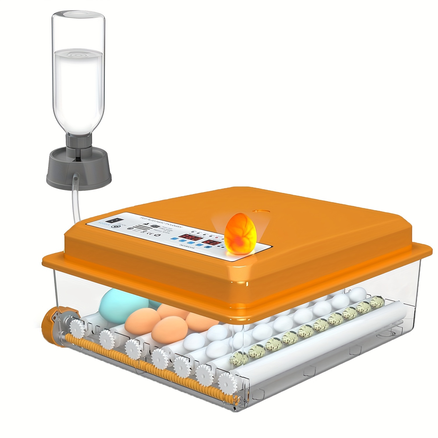 

Coinceptus Automatic Egg Incubator With Led Display - Humidity & Temperature Control, 36-egg Capacity, Auto , Includes Egg Light - Orange