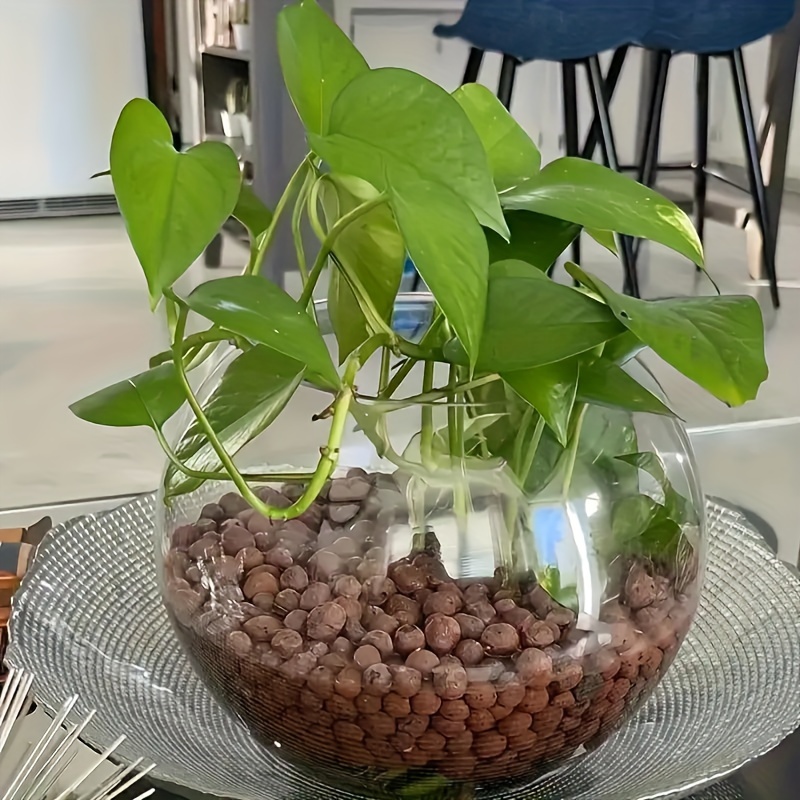 100g hydroponschlamm  leichter porser ausdehnungslehm - Temu Germany