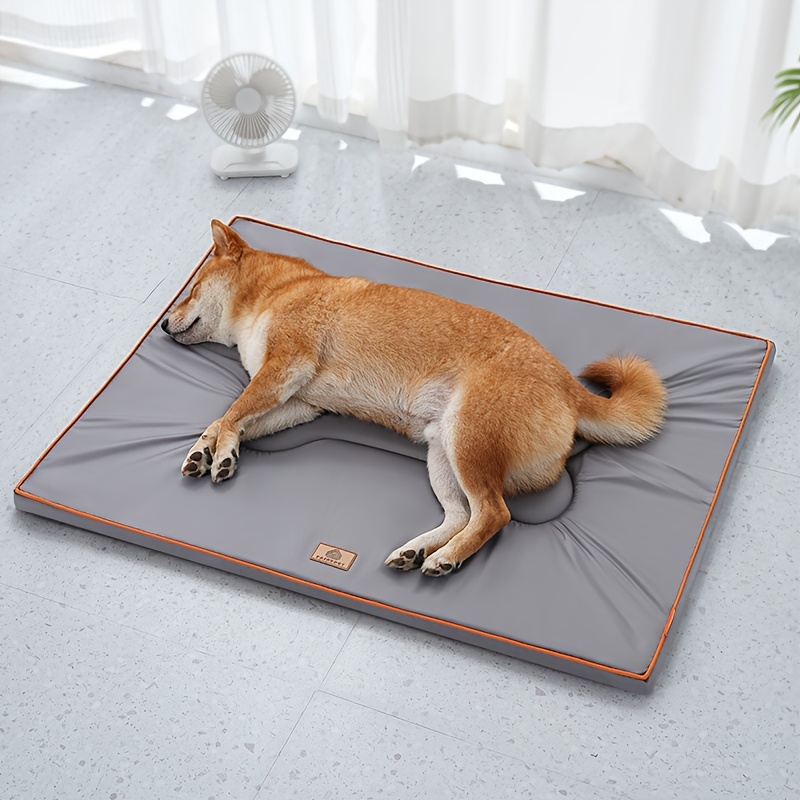 brauchen hunde nassfutter Guadn! | Premium Nassfutter für Hunde main image 0