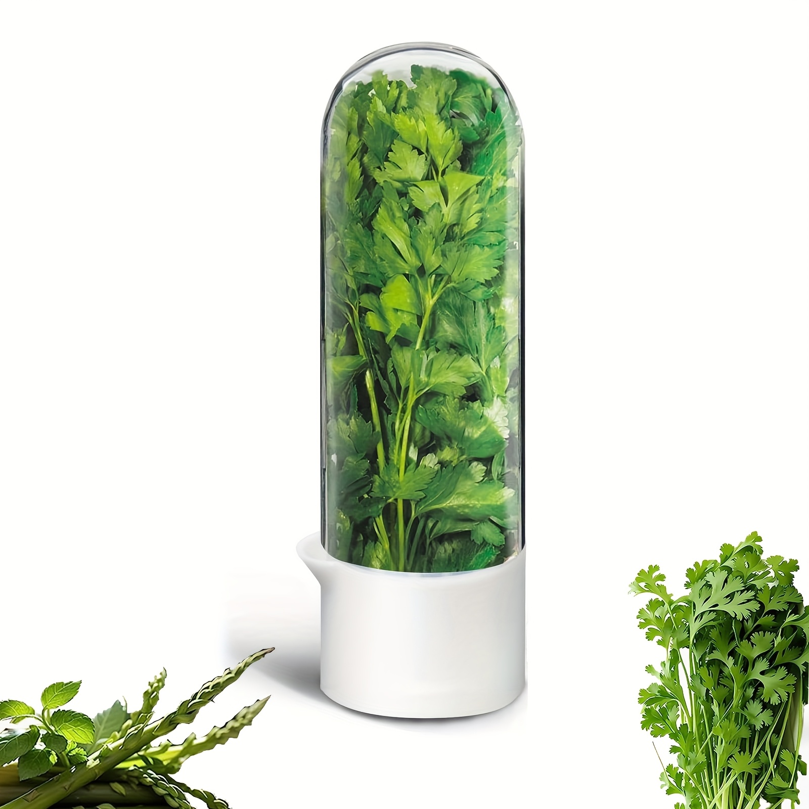 TEMU Yuhuphyllic Large Refrigerated Fresh-keeping Box, Refrigerated Coriander Fresh-keeping Box, Fresh-keeping Box, Coriander, Parsley, , -keeping