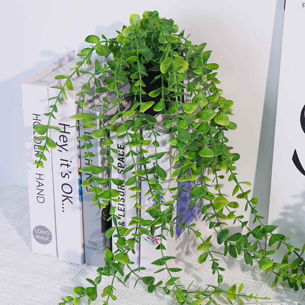 where to buy lucky bamboo plant Bamboo Palm, Chamaedorea Seifrizii Live Plant Air Purifier main image 1