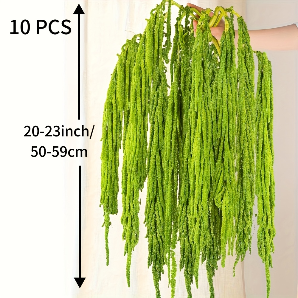 TEMU 10pcs Green Dried Hanging Flowers - Light Green Real , Preserved Dried Flowers For Wedding Arch Decor, Floral Arrangements, And Holiday Decorations (halloween, Christmas, Easter, Thanksgiving)