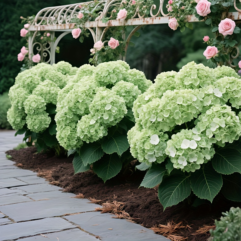 four fresh large green artificial   suitable for weddings artistic floral arrangements exhibition decorations table centerpieces mothers day valentines day harvest festivals autumn themed decorations