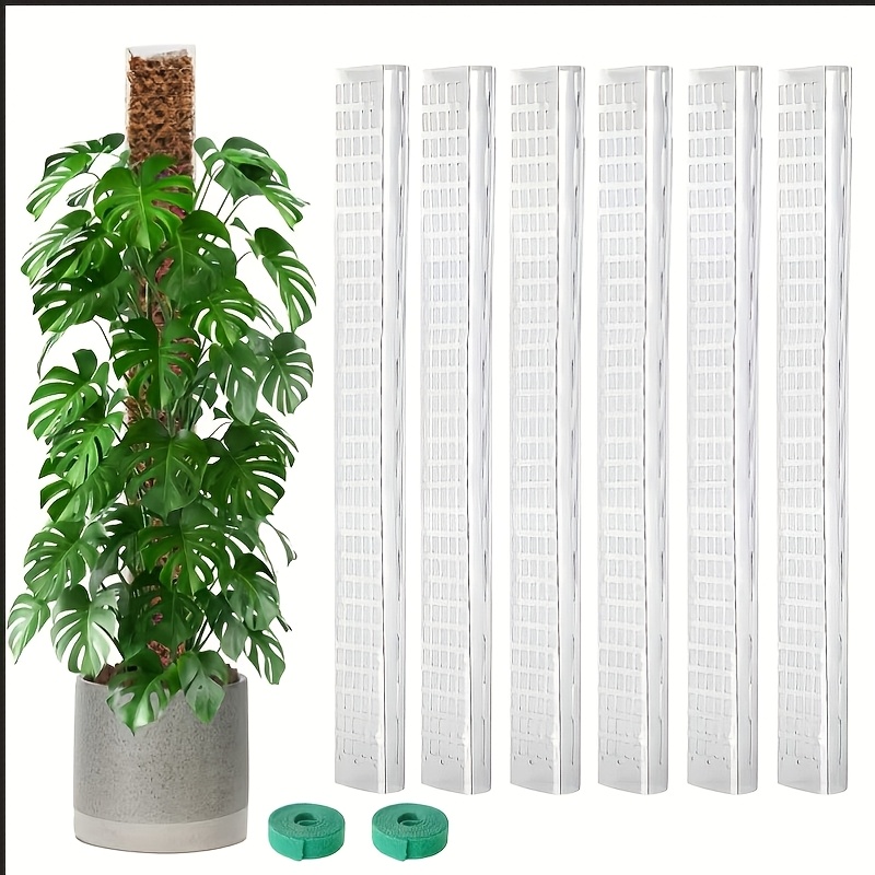 E-shop Ein vielseitiges Set aus licht- wasserabsorbierenden transparenten Kunststoff-Pflanzenstützstangen (38,63 cm / 60,32 cm) für das Wachstum von