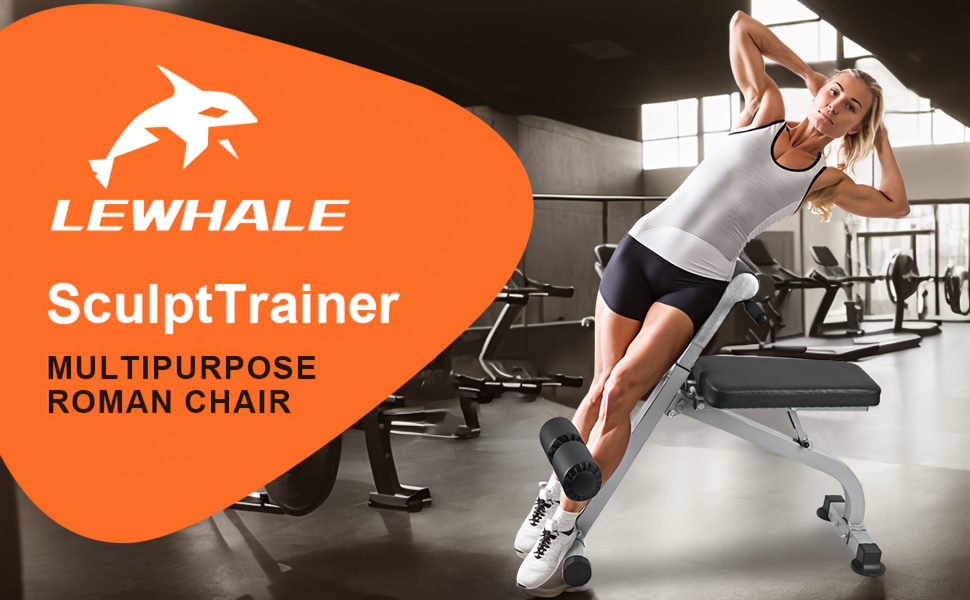 Roman Chair Twist Muscle (Roman Chair Hyperextension Bench, Back