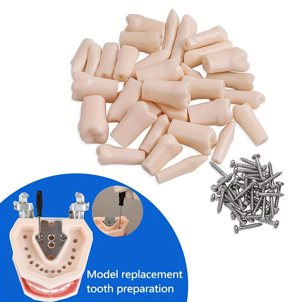 28 Verwijderbare Modellen voor de Gehele Mond, image size:1000x1000