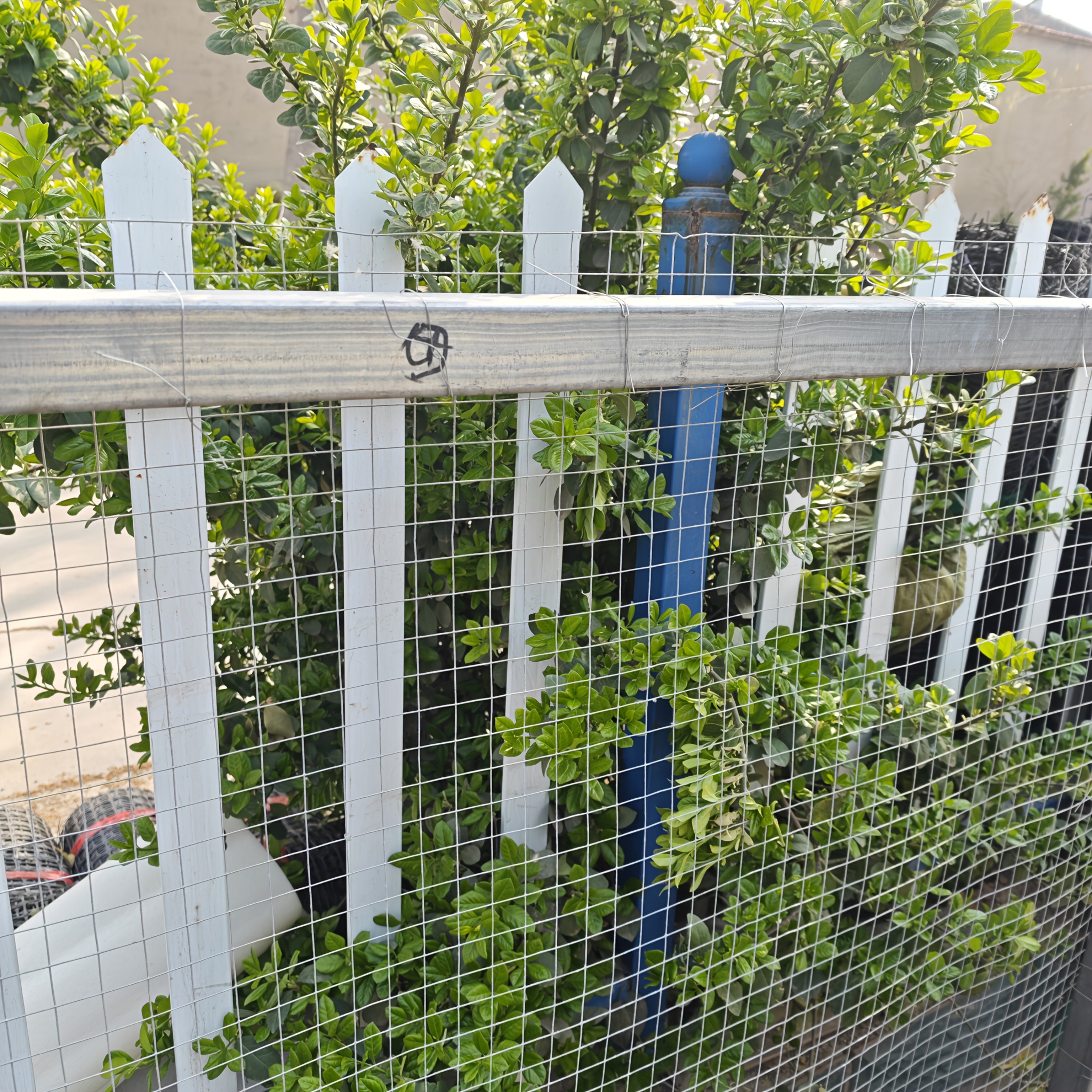 Heavy Duty Galvanized Welded Wire Mesh Roll