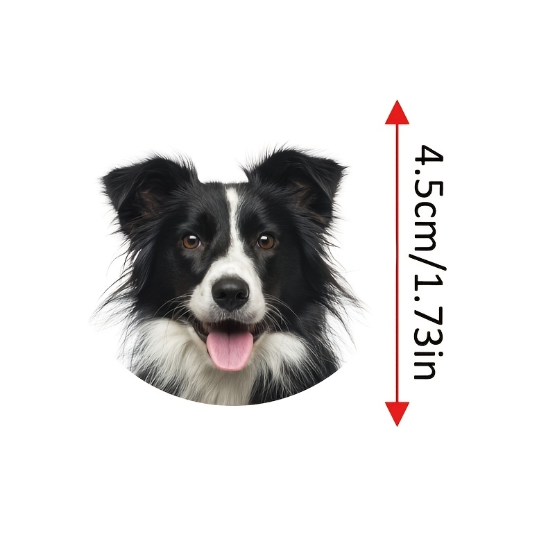 TEMU Custom Stickers, Creative Diy Self-adhesive Stickers, Custom Pet Photo Stickers, Custom Sealing Stickers, Custom Stickers For Decorating Water