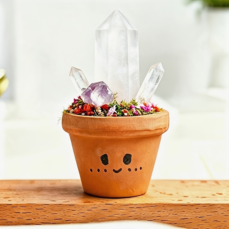 TEMU 1pc Natural Potted Plant, Mini Forest, Meditation , Potted Plant Decorative Ornament