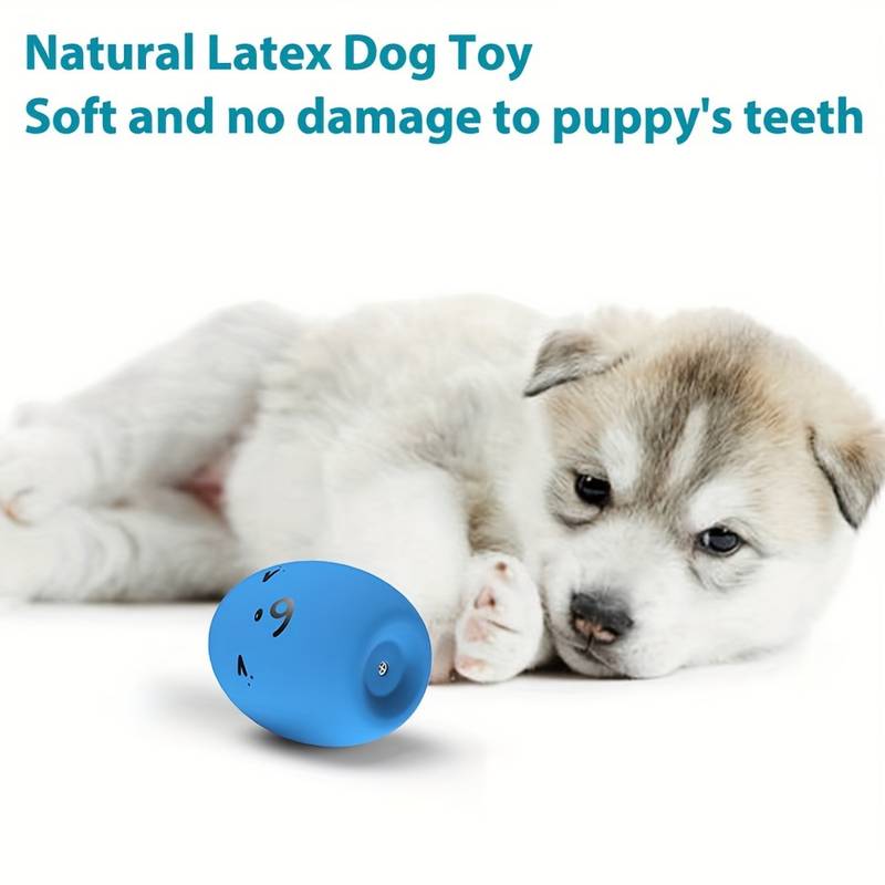 6 Palline Giocattolo Per Cani Pishi Pets In Lattice Morbido Con Squeaker – Galleggianti E Resistenti