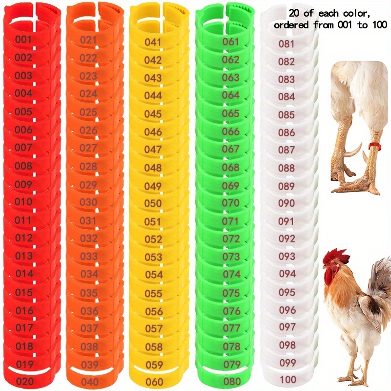 100 pack adjustable reusable colorful chicken leg bands numbered poultry identification tags for chickens ducks geese turkeys details 0