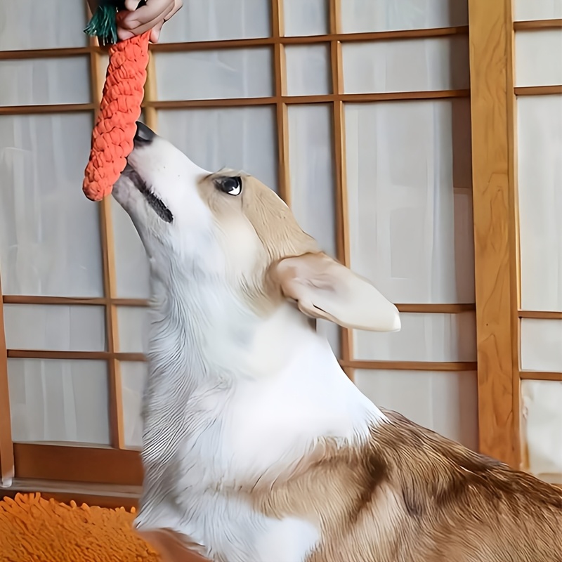 carrot shaped pet chew rope toy interactive pet   toy suitable for puppies christmas gift for pets tug of   bite toy for   Product details 2
