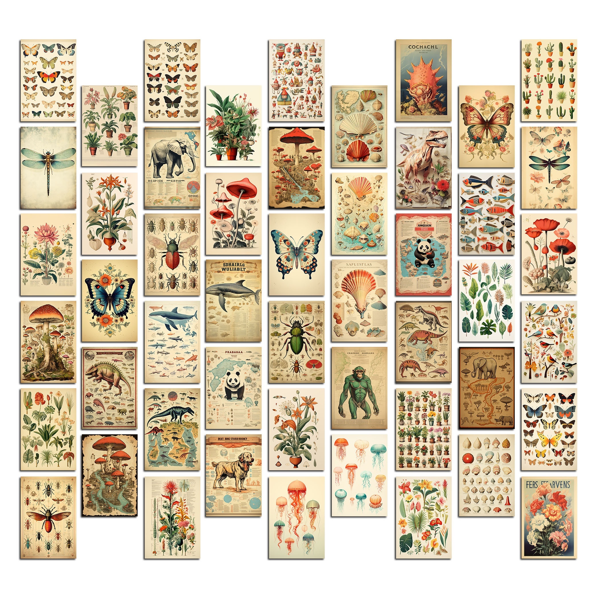 

50pcs/set Retro Botanic Wall Collage Kit Vintage Animals Craft Style Picture Whale Shell Butterfly Frog Insect Dinosaur Plant Poster Print Postcard Greeting Card, 4x6 Inch, Eid Al-adha Mubarak