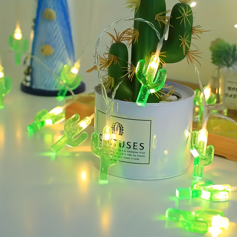 mistletoe cactus rhipsalis baccifera Mistletoe Cactus | Holiday Plants Delivered