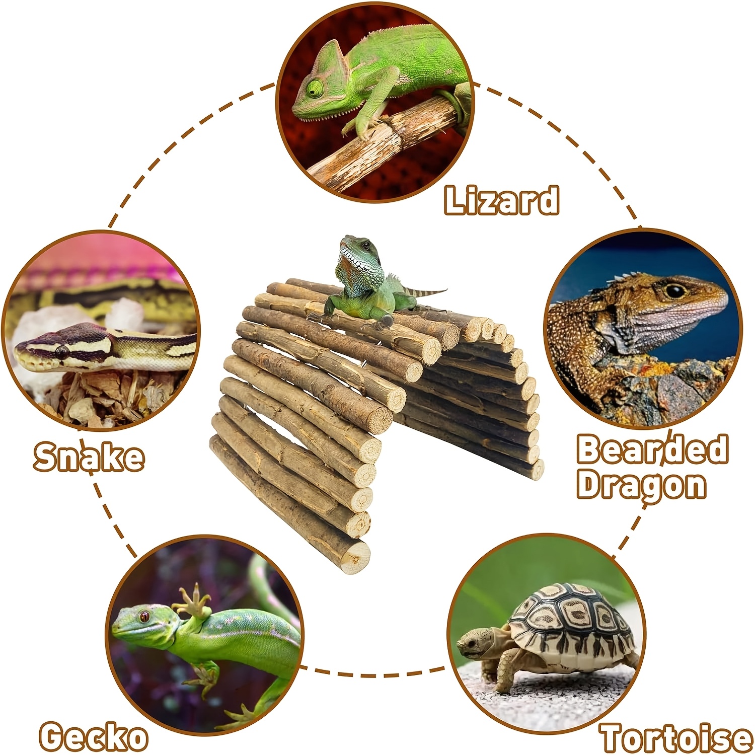 Wooden Crawling Pet Habitat Tree for Small Animals