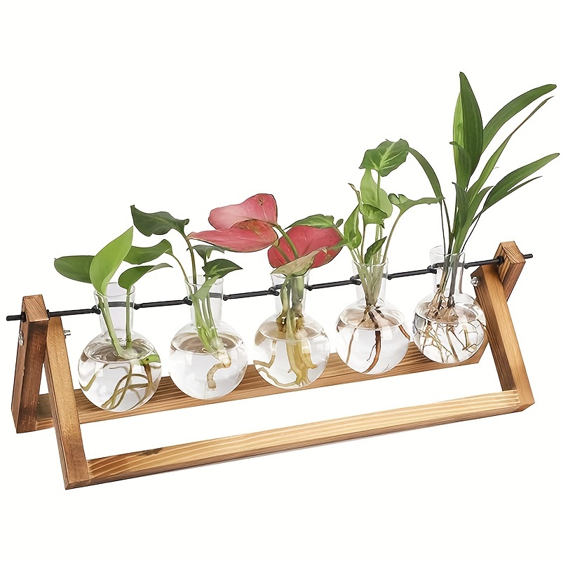 

1pc Plant Terrarium, Planted Aquarium With Wooden Stand And 5 Air Grow Bulbs Flower Glass Vases Decor