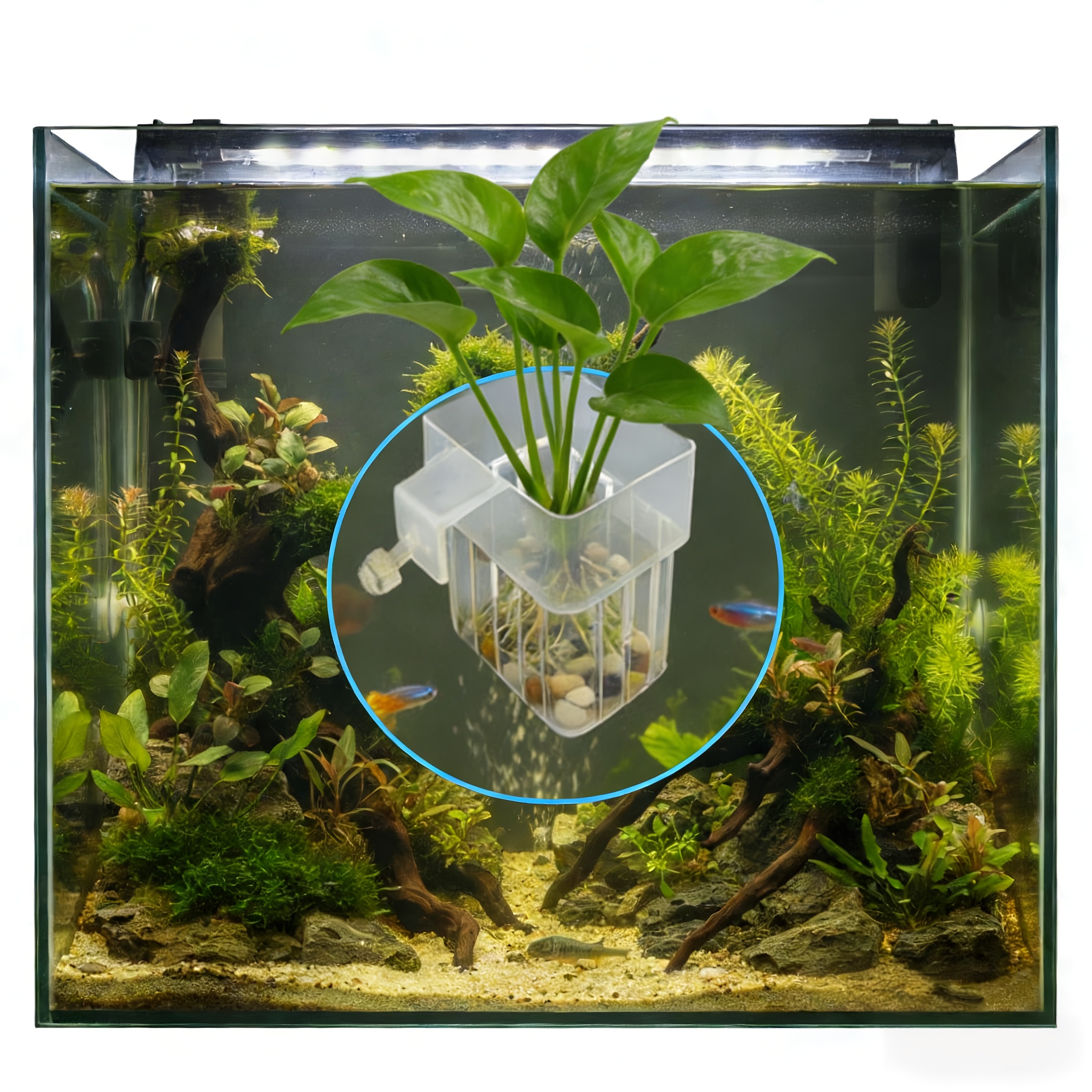 velcro tape plants Reusable Flexible Velcro Tape for Plant Securing  plantandstories