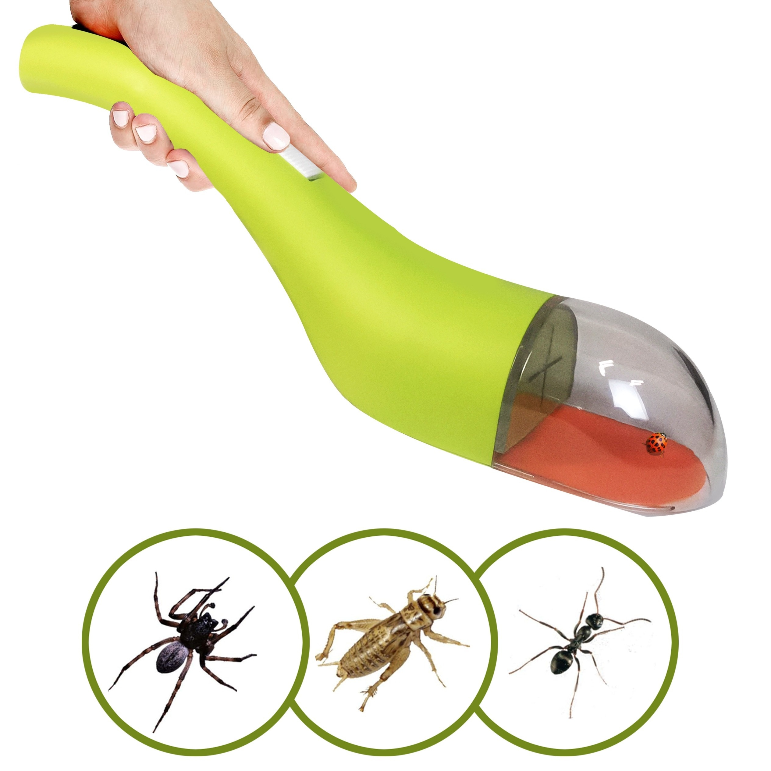 1pc Bug Catcher, Bug Catching Tool For Spider And Insects, Catcher Live  Bugs, Bug Catching Kit Bug Trapper For Indoor And Outdoor Yard